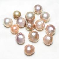 Freshwater Cultured Nucleated Pearl Beads, Cultured Freshwater Nucleated Pearl, no hole, mixed colors, 13-15mm 