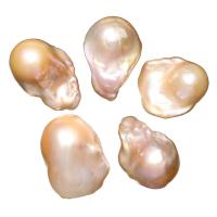 Freshwater Cultured Nucleated Pearl Beads, Cultured Freshwater Nucleated Pearl, no hole, pink, 15-17mm 