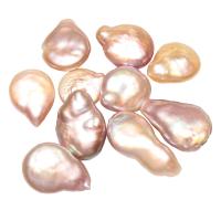 Freshwater Cultured Nucleated Pearl Beads, Cultured Freshwater Nucleated Pearl, no hole, purple, 11-13mm 