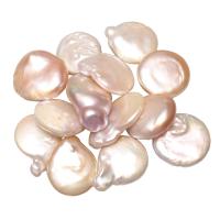 Perlas Cultivadas Nucleadas de Agua Dulce, sin agujero, más colores para la opción, 15-16mm, Vendido por UD