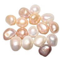 Perlas Cultivadas Nucleadas de Agua Dulce, sin agujero, más colores para la opción, 11-12mm, Vendido por UD