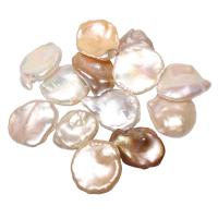 Perlas Cultivadas Nucleadas de Agua Dulce, sin agujero, más colores para la opción, 10-12mm, Vendido por UD
