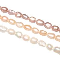 Rice Cultured Freshwater Pearl Beads, natural 5-6mm Approx 0.8mm Approx 15 Inch 