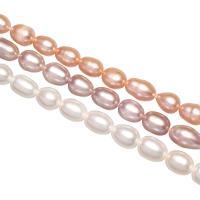 Potato Cultured Freshwater Pearl Beads, Rice, natural Approx 0.8mm Approx 15 Inch 