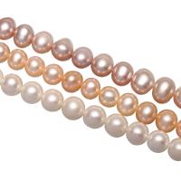 Potato Cultured Freshwater Pearl Beads, natural 8mm Approx 0.8mm Approx 15 Inch 