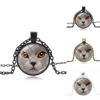 Time Gem Jewelry Necklace, Zinc Alloy, with iron chain & Glass, with 50mm extender chain, Flat Round, plated, Unisex & oval chain & decal lead & cadmium free Approx 17.7 Inch 