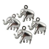 Pendentifs d'animaux en acier inoxydable , éléphant, couleur originale Environ 1.5mm Vendu par sac