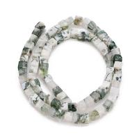 Natural Tree Agate Beads, Square Approx 1mm Approx 15 Inch, Approx 