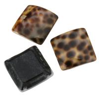 Tiger Shell Cabochon,  Square Approx 2.5mm 