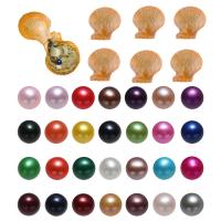 Perlas Cultivadas de Akoya Deseo Pearl Oyster, Patata, más colores para la opción, 7-8mm, Vendido por UD
