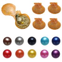 Perlas Cultivadas de Akoya Deseo Pearl Oyster, Patata, color mixto, 7-8mm, 10PCs/Grupo, Vendido por Grupo