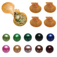 perles Akoya cultivées Wish Pearl Oyster, pomme de terre, couleurs mélangées, 7-8mm Vendu par lot