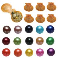 Akoya Zuchtperlen Wünsche Pearl Oyster, Kartoffel, gemischte Farben, 7-8mm, 15PCs/Menge, verkauft von Menge