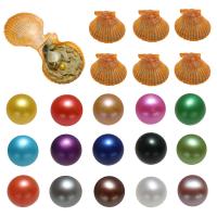 Perlas Cultivadas de Akoya Deseo Pearl Oyster, Patata, color mixto, 7-8mm, 15PCs/Grupo, Vendido por Grupo