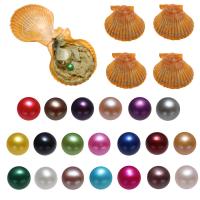 Akoya Zuchtperlen Wünsche Pearl Oyster, Kartoffel, gemischte Farben, 7-8mm, 20PCs/Menge, verkauft von Menge