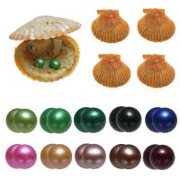 perles Akoya cultivées Wish Pearl Oyster, pomme de terre, Les jumeaux souhaitent l’huître de perle, couleurs mélangées, 7-8mm Vendu par lot