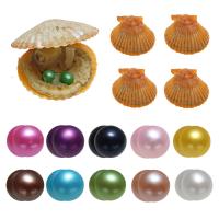 perles Akoya cultivées Wish Pearl Oyster, pomme de terre, Les jumeaux souhaitent l’huître de perle, couleurs mélangées, 7-8mm Vendu par lot