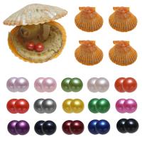 Akoya Zuchtperlen Wünsche Pearl Oyster, Kartoffel, Zwillinge Wunsch Perle Oyster, gemischte Farben, 7-8mm, 15PCs/Menge, verkauft von Menge