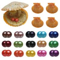 Perlas Cultivadas de Akoya Deseo Pearl Oyster, Patata, Twins Wish Pearl Oyster, color mixto, 7-8mm, 15PCs/Grupo, Vendido por Grupo