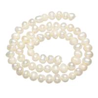 Round Cultured Freshwater Pearl Beads, natural, white, 5-6mm Approx 0.8mm Approx 14 Inch 