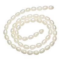 Rice Cultured Freshwater Pearl Beads, natural, white, 4-5mm Approx 0.8mm Approx 15 Inch 