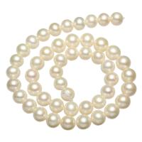 Round Cultured Freshwater Pearl Beads, natural, white, 9-10mm Approx 0.8mm Approx 15 Inch 