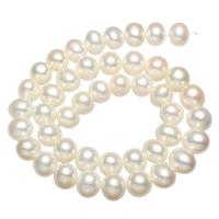 淡水養殖の真円真珠, 天然有核フレッシュウォーターパール, ラウンド形, 天然, ホワイト, 10-11mm, 穴:約 0.8mm, 長さ:約 15.7 インチ, 売り手 ストランド