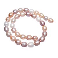 Potato Cultured Freshwater Pearl Beads, natural, mixed colors, 12-16mm Approx 0.8mm Approx 16 Inch 