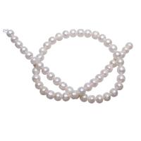 Potato Cultured Freshwater Pearl Beads, natural, white, 8-9mm Approx 0.8mm Approx 15.5 Inch 