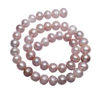 Perlas Patata Freshwater, Perlas cultivadas de agua dulce, natural, Púrpura, 10-11mm, agujero:aproximado 0.8mm, longitud:aproximado 15.7 Inch, Vendido por Sarta