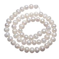 Potato Cultured Freshwater Pearl Beads, natural, white, 6-7mm Approx 0.8mm Approx 15 Inch 