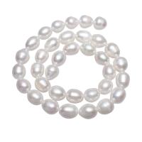 Potato Cultured Freshwater Pearl Beads, natural, white, 10-11mm Approx 0.8mm Approx 15.5 Inch 