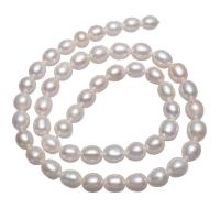 Potato Cultured Freshwater Pearl Beads, natural, white, 6-7mm Approx 0.8mm Approx 15.3 Inch 