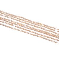 Rice Cultured Freshwater Pearl Beads, natural, pink, 2-2.5mm Approx 0.8mm Approx 15.5 Inch 
