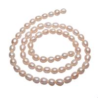 Potato Cultured Freshwater Pearl Beads, natural, pink, 5-6mm Approx 0.8mm Approx 14.5 Inch 