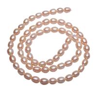 Potato Cultured Freshwater Pearl Beads, natural, pink, 4-5mm Approx 0.8mm Approx 15.3 Inch 