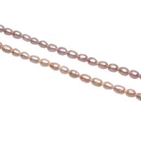 Rice Cultured Freshwater Pearl Beads, natural 3-4mm Approx 0.8mm Approx 15.3 Inch 