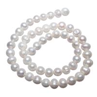 Potato Cultured Freshwater Pearl Beads, natural, white, 7-8mm Approx 0.8mm Approx 14.7 Inch 
