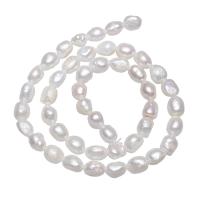 Potato Cultured Freshwater Pearl Beads, natural, white, 7-8mm Approx 0.8mm Approx 14.5 Inch 