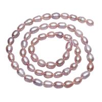 Rice Cultured Freshwater Pearl Beads, natural, pink, 5-6mm Approx 0.8mm Approx 15 Inch 