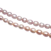 Potato Cultured Freshwater Pearl Beads, natural 10-11mm Approx 0.8mm 
