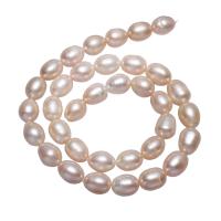 Perlas Patata Freshwater, Perlas cultivadas de agua dulce, natural, Rosado, 8-9mm, agujero:aproximado 0.8mm, longitud:aproximado 14.5 Inch, Vendido por Sarta