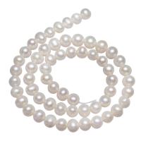 Perlas Patata Freshwater, Perlas cultivadas de agua dulce, natural, Blanco, 7-8mm, agujero:aproximado 0.8mm, longitud:aproximado 14.5 Inch, Vendido por Sarta