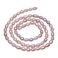 Rice Cultured Freshwater Pearl Beads, natural, purple, 3-4mm Approx 0.8mm Approx 15.5 Inch 