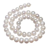 Potato Cultured Freshwater Pearl Beads, with troll, white, 8-9mm Approx 0.8mm .3 Inch 