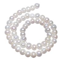 Potato Cultured Freshwater Pearl Beads, natural, white, 8-9mm Approx 2mm Inch 