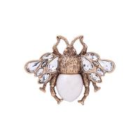 Rhinestone Zinc Alloy Brooch, Insect, antique gold color plated & for woman & with rhinestone, lead & cadmium free 