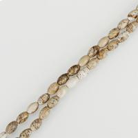 Landschafts-Jaspis Perlen, Bild Jaspis, Trommel, 5x8mm, Bohrung:ca. 1mm, Länge:ca. 16 ZollInch, ca. 50PCs/Strang, verkauft von Strang