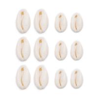 Trumpet Shell Beads white 