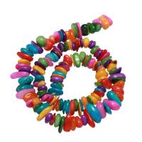 Dyed Shell Beads, mixed colors Approx 0.8mm, Approx 